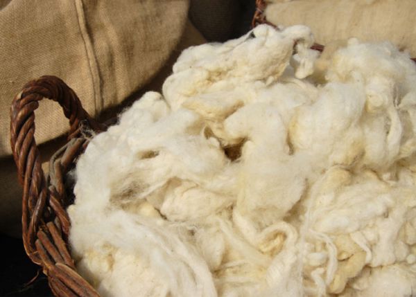 Как моют овечью шерсть в домашних условиях